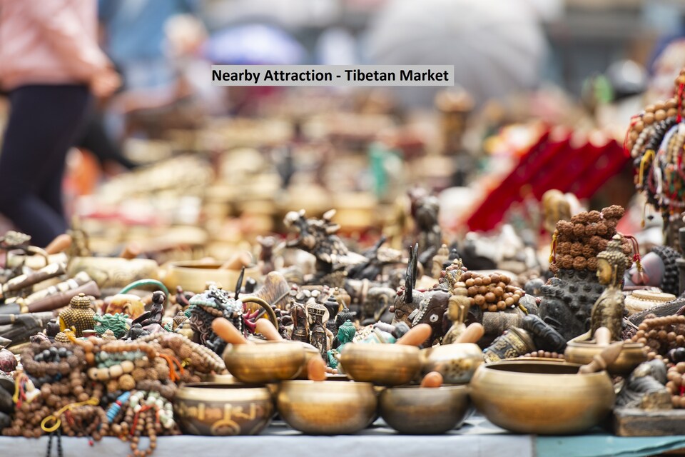 OYO Home 14011 Nature View Wooden Stay, Naggar Road, Manali