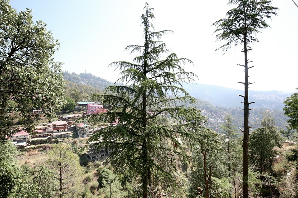 OYO Home 14049 Tranquil Stay, ISBT Tutikandi, Shimla