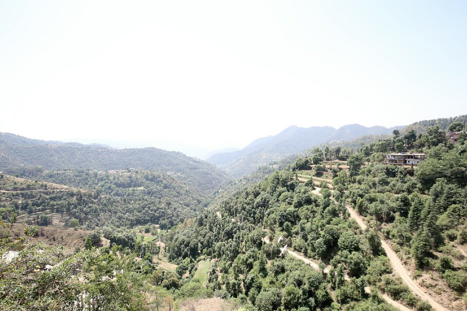 OYO Home 14106 Exotic Hill View, Shoghi, Shimla