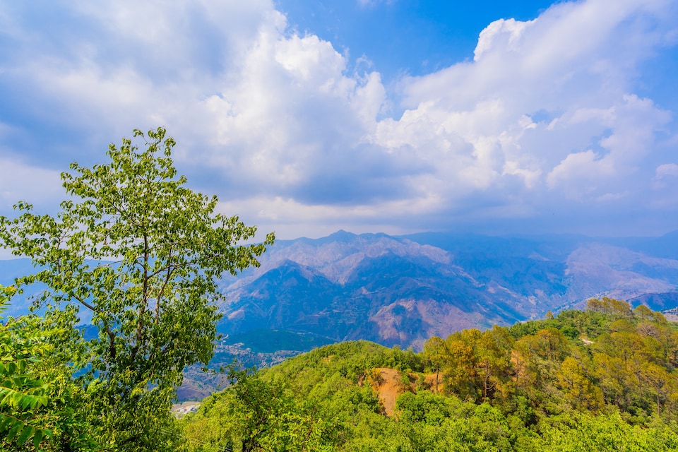 OYO Home 14134 Devdar Cottage Kempty Road, Company Garden Mussoorie, Mussoorie