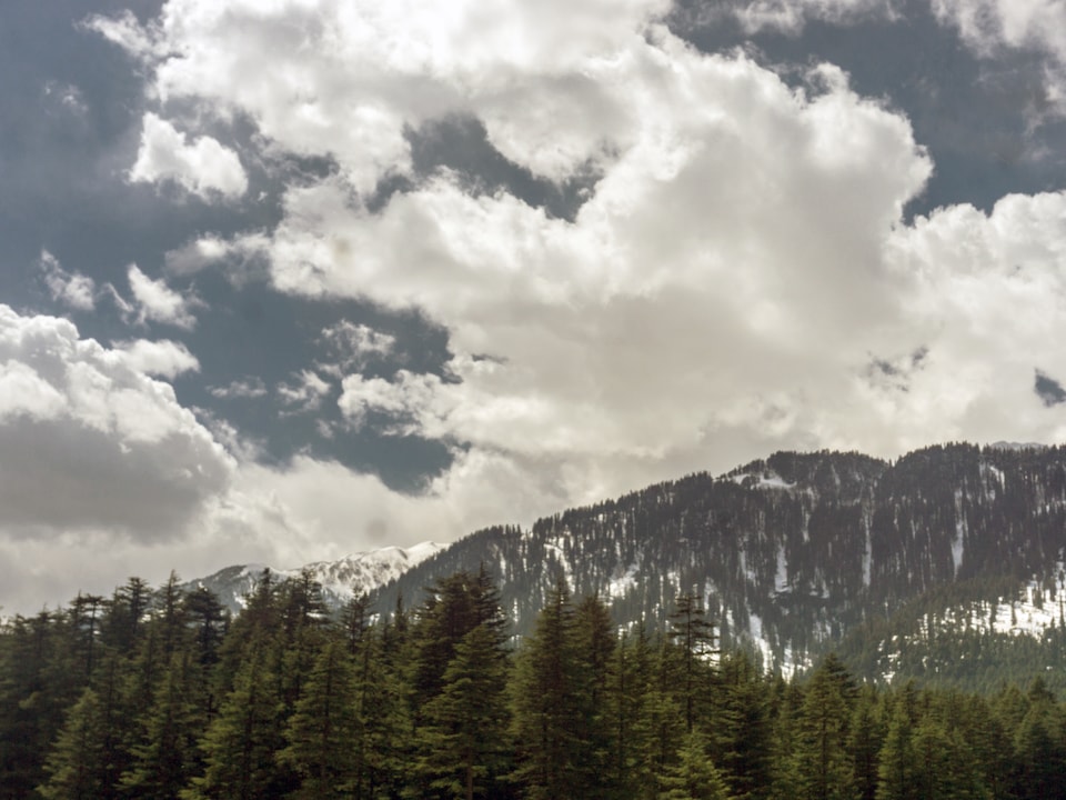 OYO 14218 Elixir Cottage, Naggar Road, Manali