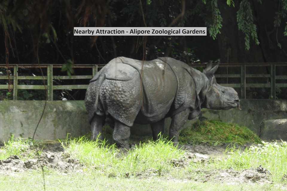 OYO 14232 बेहला गेस्ट हाउस, Behala Kolkata, कोलकाता