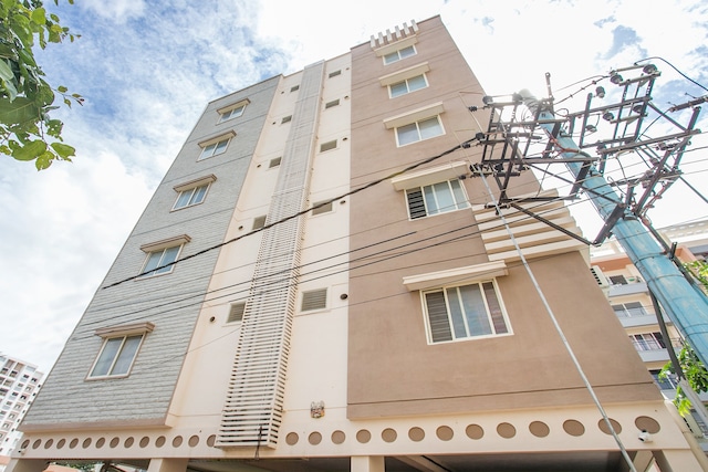 Collection O Royal Mac