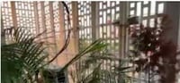 Hotel O Night Queen Guest House 
