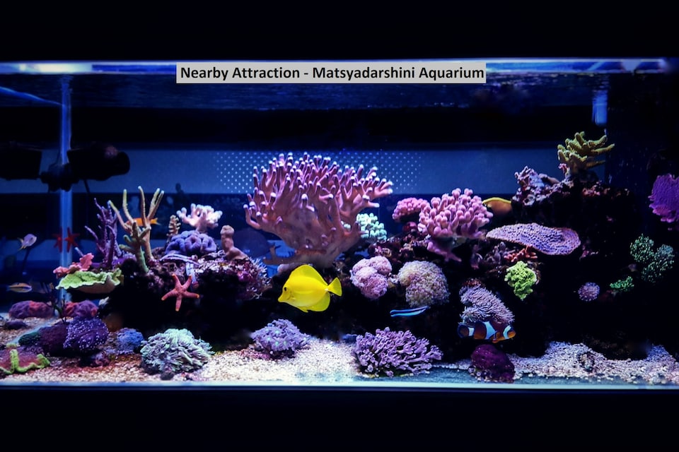 SPOT ON 14323 Anupama Hotel, Transit Vizag, Visakhapatnam