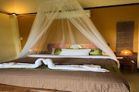 Palette Luxe Elephant Camp Maerim