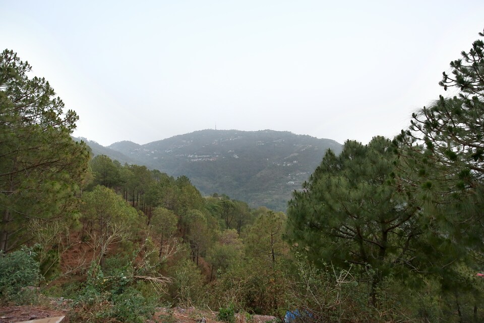OYO Home 14806 Valley view Stay, Kasauli, Kasauli