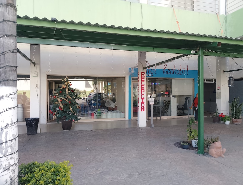 OYO Seoul Garden , Monterrey: Zona Centro /MTY, Monterrey