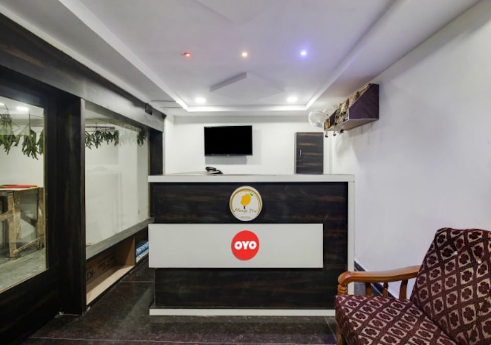Hotel Mango Tree Residency, Nizamabad city, Nizamabad