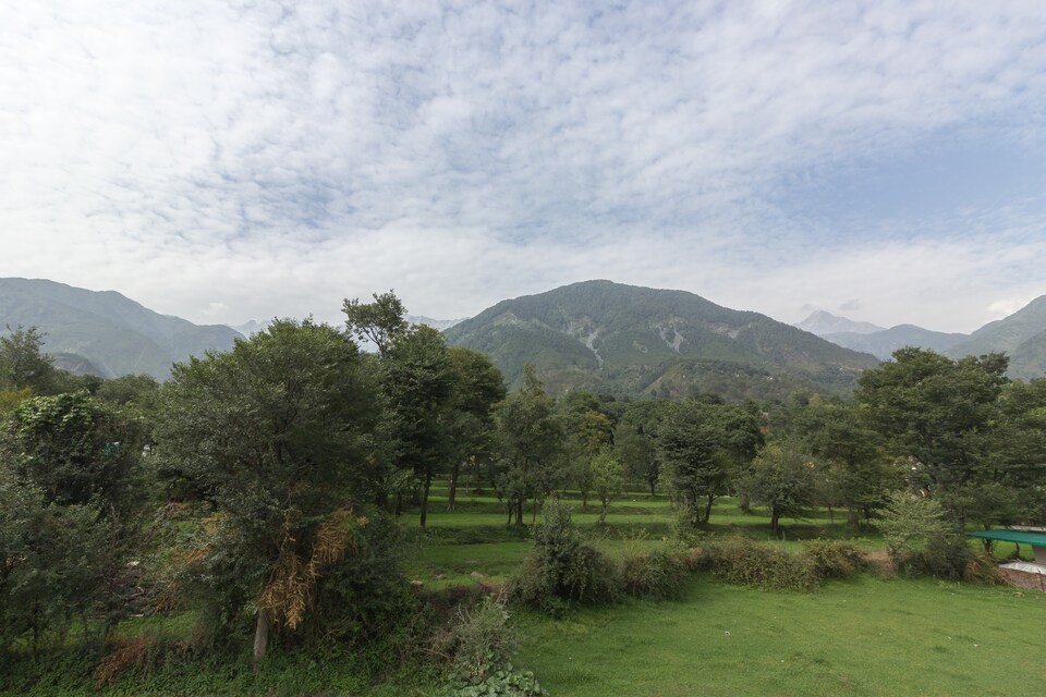 OYO 15797 Home Cozy Studio Hill View Khanyara, Dharamshala, Dharamshala