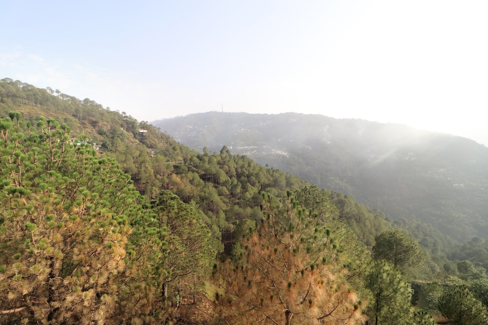 OYO Home 15968 Valley View, Kasauli, Kasauli