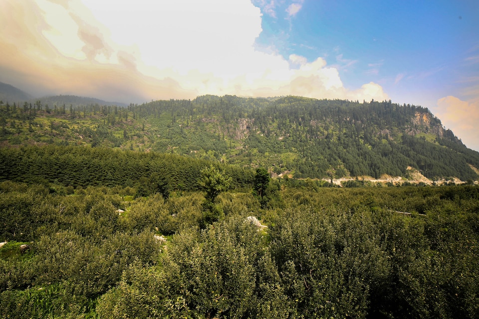 OYO Home 16368 Apple View Premium Studio, Rohtang Highway, Manali