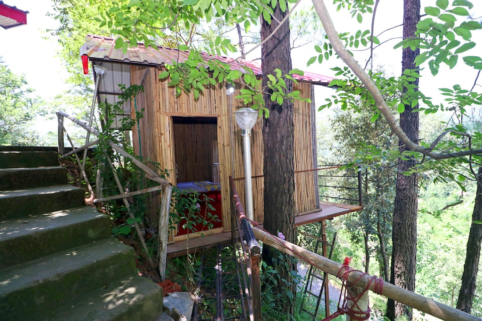 OYO Home 16426 Cozy Cottage, Chail, Chail