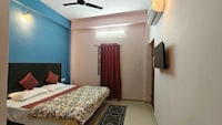 Spot On The Luxury Roommers