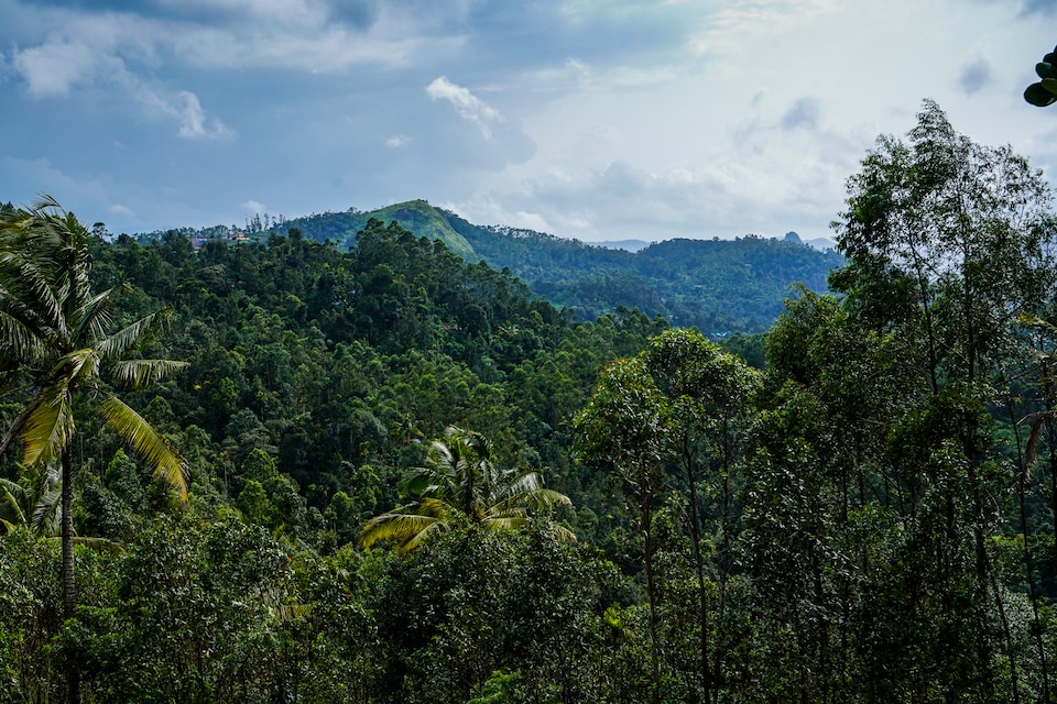 OYO Home 16630 Cocoa Tree Residency, Marayoor Munnar, Munnar