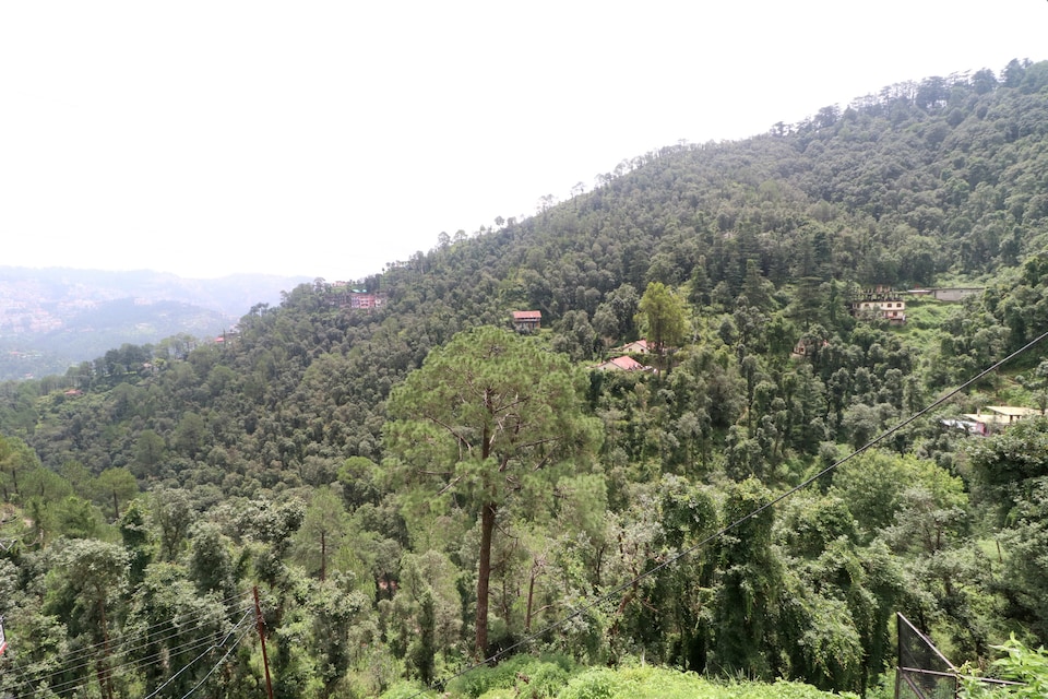 OYO होम 16741 कम्फर्टेबल स्टे, ISBT Tutikandi, शिमला