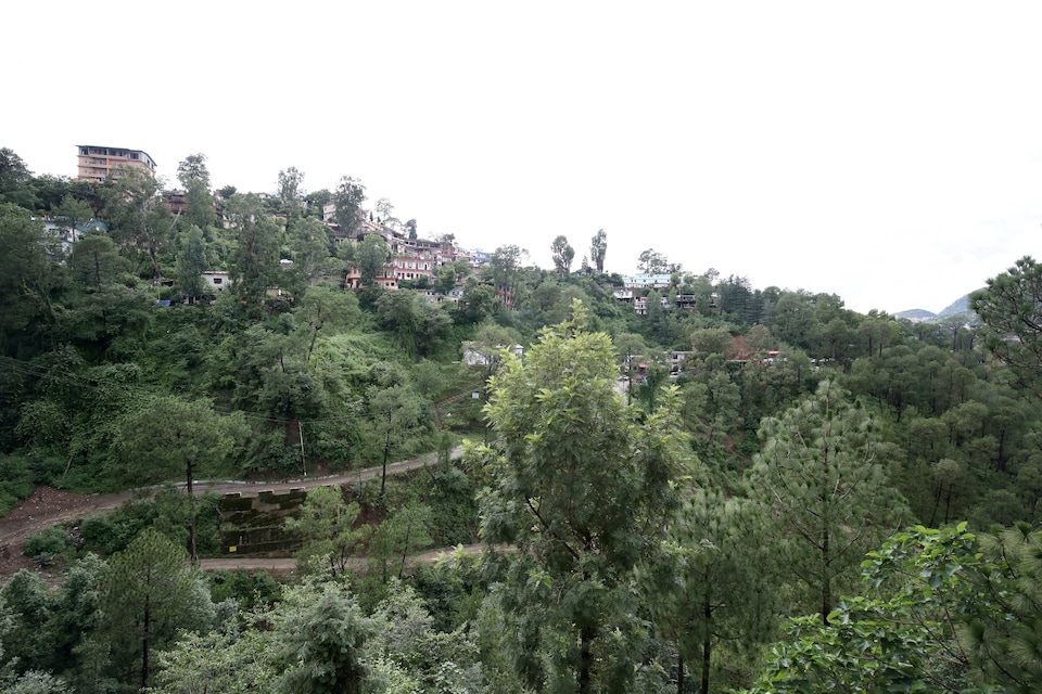 OYO Home 16811 Peaceful 1BHK, Solan, Solan