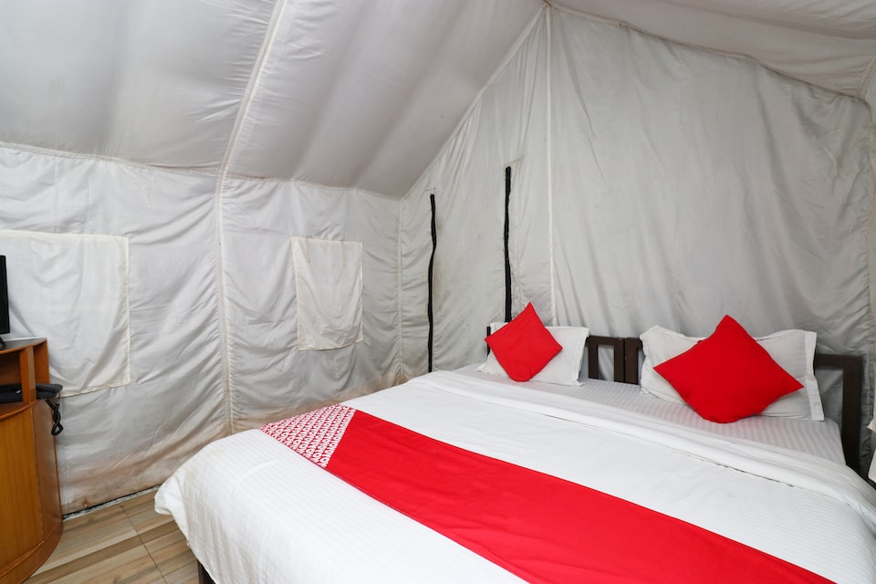 New code live MCD182, McLeod Ganj, Mcleod-Ganj