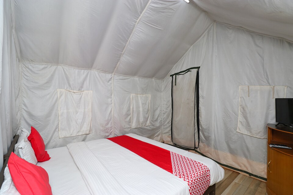 New code live MCD182, McLeod Ganj, Mcleod-Ganj