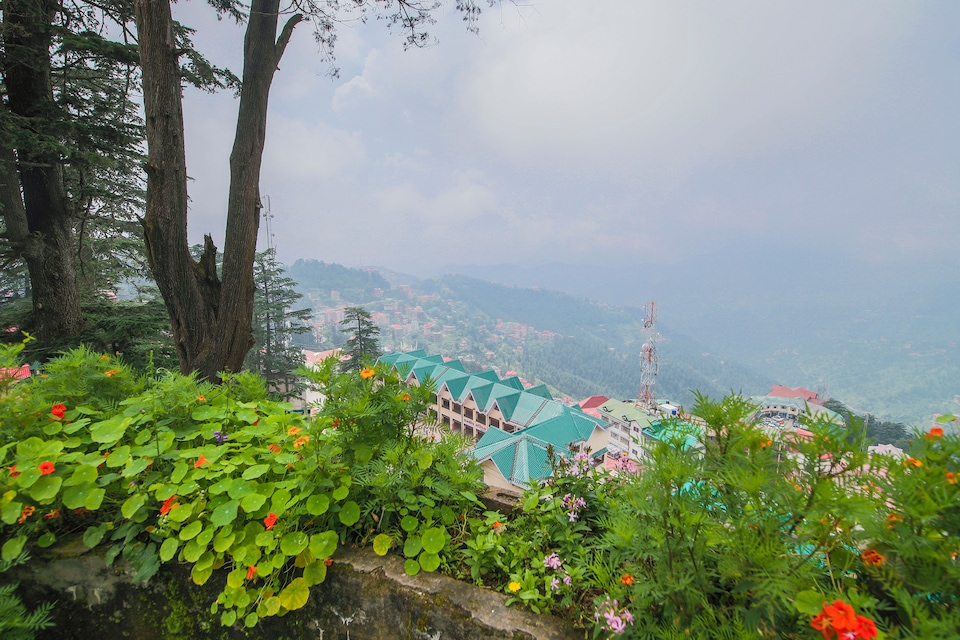 OYO Home 16946 Heritage 2BHK, Chotta Shimla, Shimla