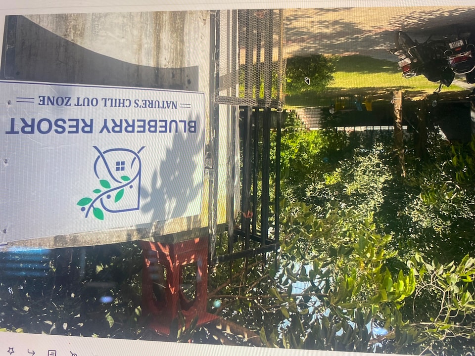 Hotel O Blueberry Resort, Pushkar, Pushkar