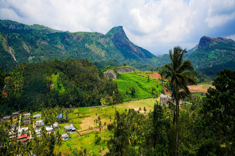 OYO Home 17143 Scenic Stay Summer Hill, Marayoor Munnar, Munnar