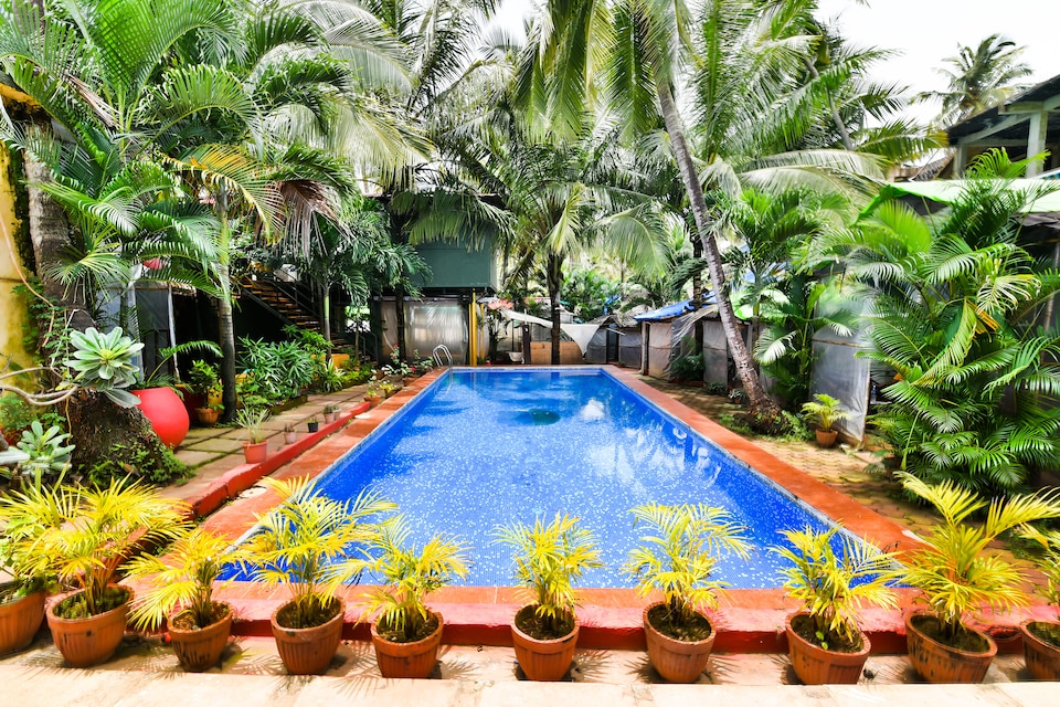 OYO 17264 Ashvem Beach Resort, Arambol Goa, Goa