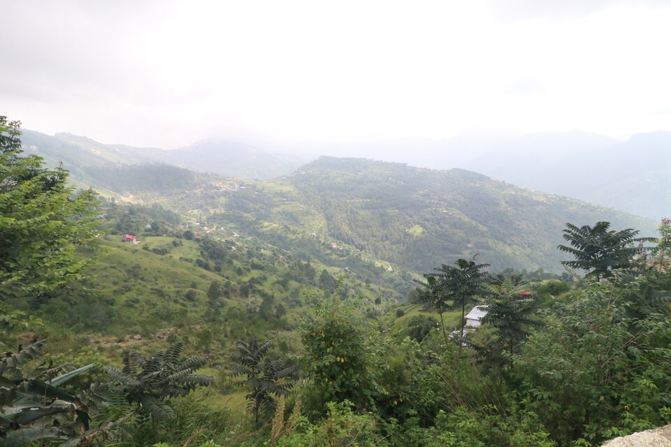 OYO Home 18477 Cheerful Stay, Mashobra-Naldera, Shimla