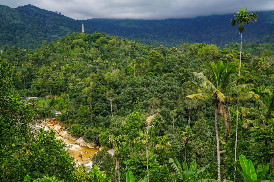 OYO Home 19378 Tranquil Stay Anachal, Anachal, Munnar