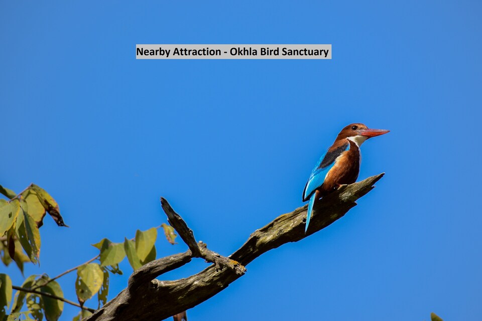 Flagship Jaypee Hospital Near Nsez Metro Station, Noida Expressway SEZ, Noida