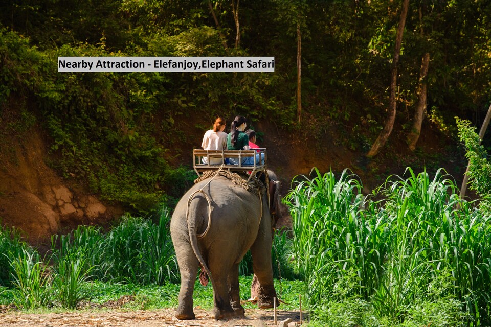 OYO 19623 Aanand Mahal, Amer, Jaipur