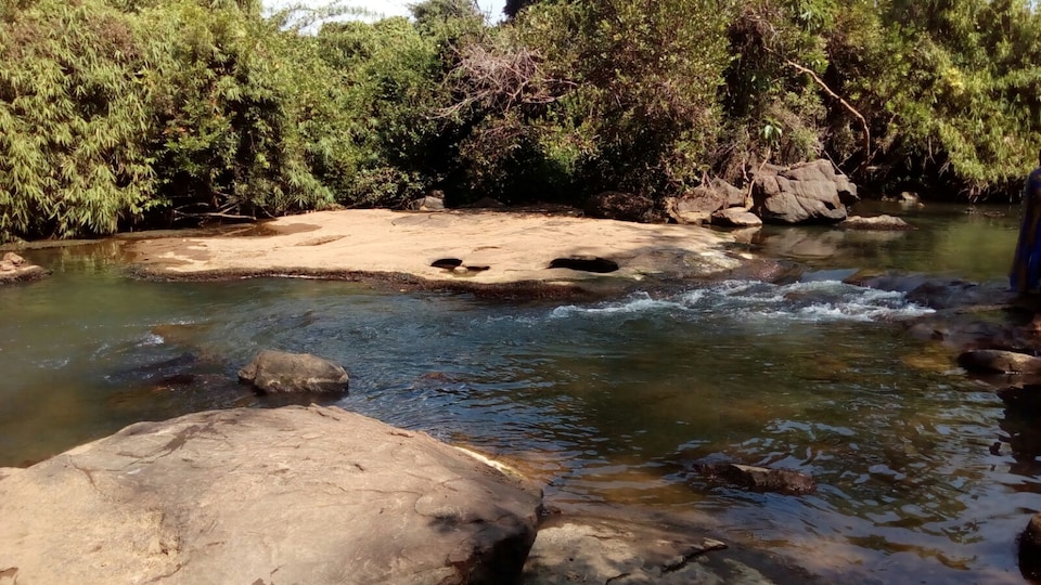 OYO 2991 Hotel Dewland, Ankamaly Airport Kochi, Kochi