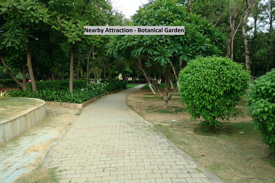 OYO 19911 Exotic Stay, Golf Course Road, Gurgaon