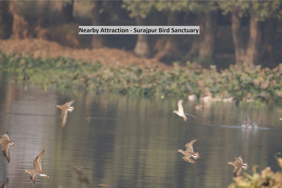 OYO 22745 The Elite venue, Greater Noida, Noida