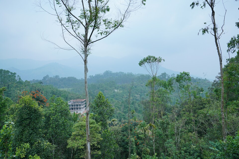 OYO Home 23192 Green View Stay, Anachal, Munnar