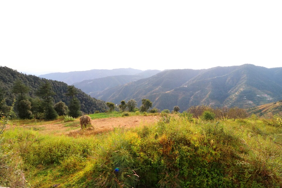 OYO Home 23280 Cottage Stay, Kufri-Faghu-Theog, Shimla