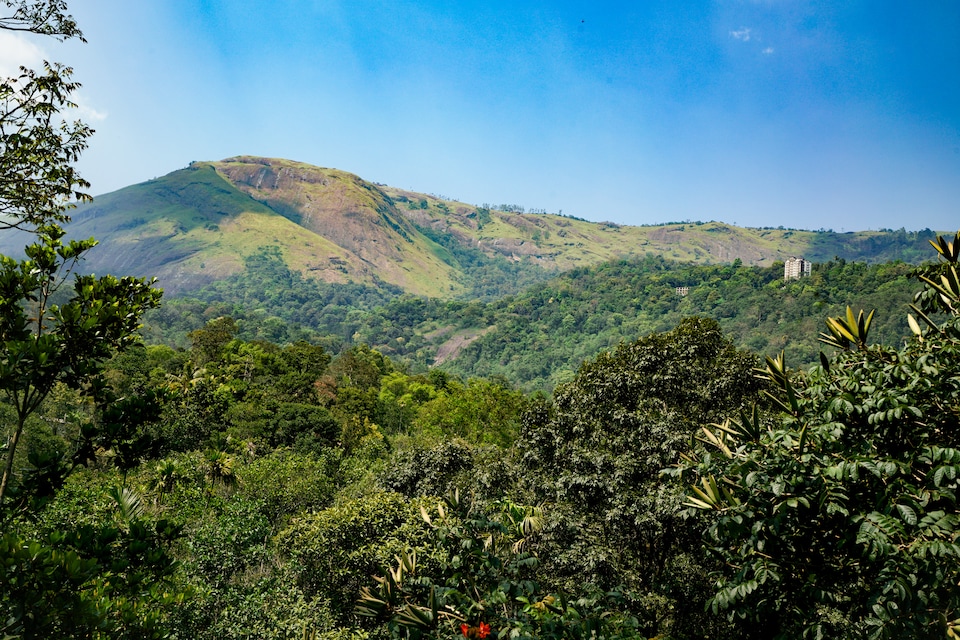 OYO Home 23359 Elegant 2BHK, Anachal, Munnar