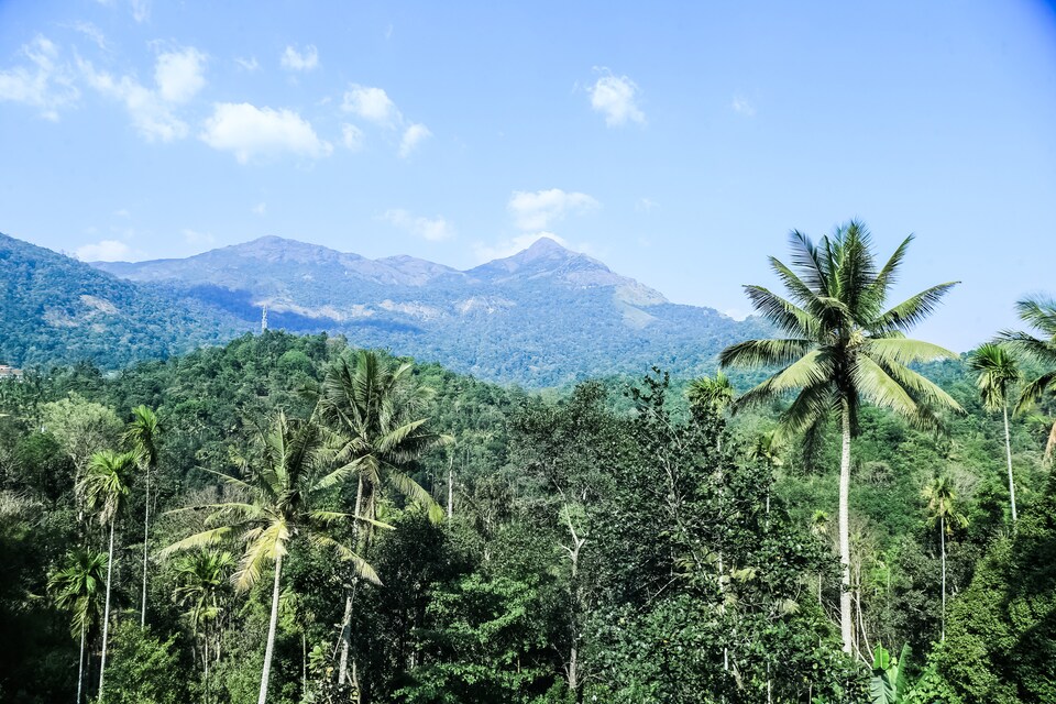 OYO 23561 Mystique Resort, Anachal, Munnar