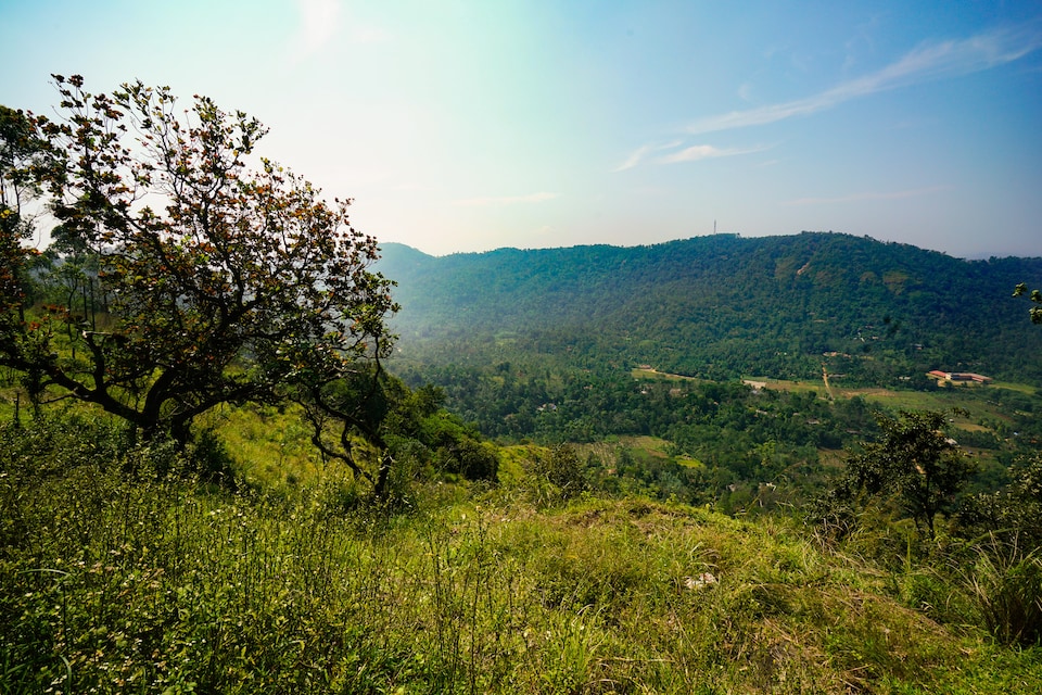 OYO Home 23611 Cosy Stay, Anachal, Munnar