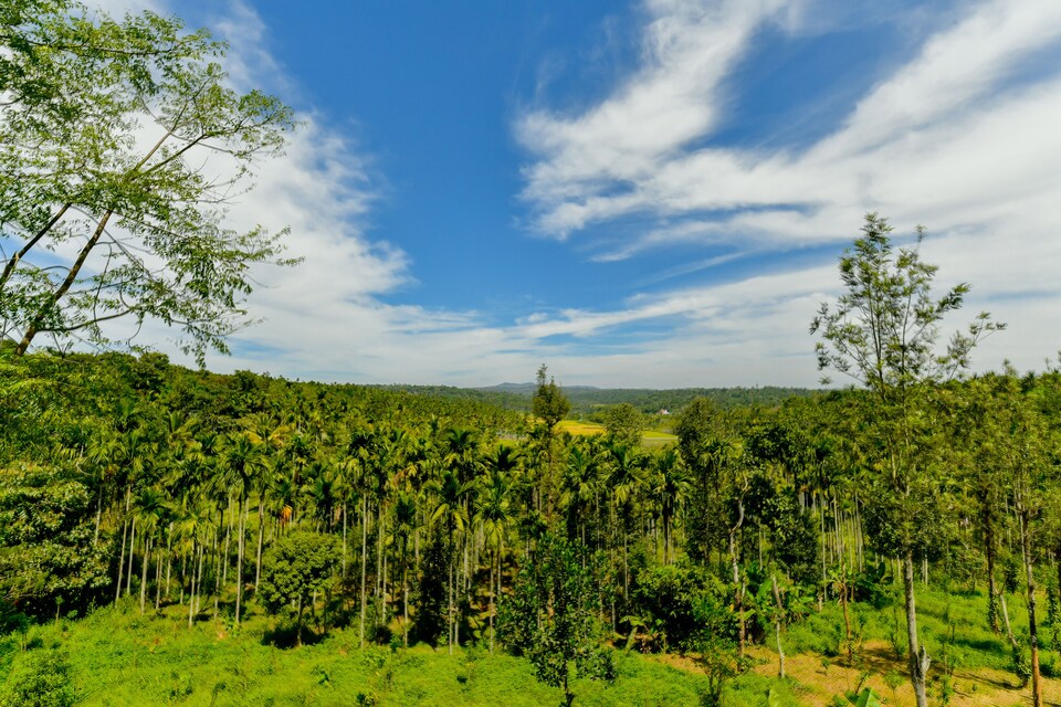 OYO Home 24016 Spacious Home Sierra Vista Apartments, Sultan Bathery, Wayanad