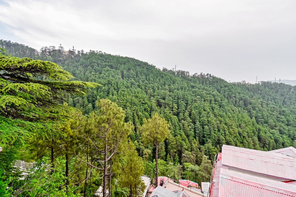 OYO Home 24032 Cheerful 3BHK Kanlog, ISBT Tutikandi, Shimla
