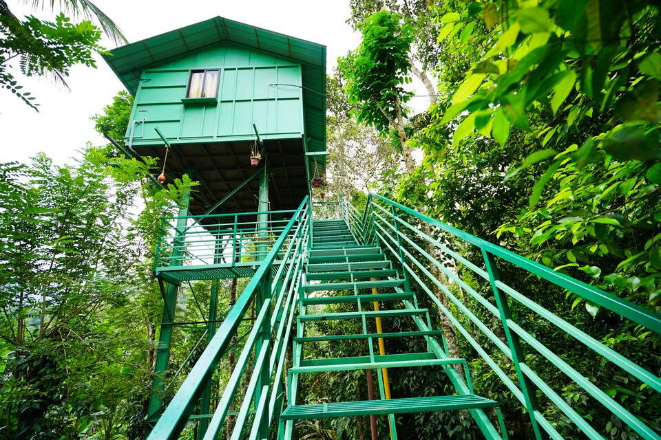 OYO Home 24239 Exotic Tree House, Anachal, Munnar