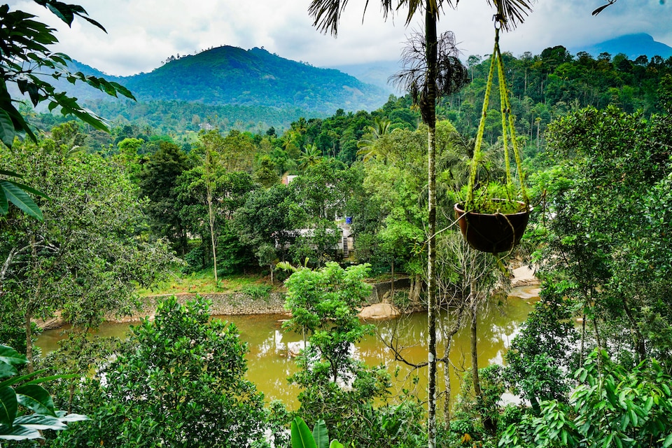 OYO Home 24239 Exotic Tree House, Anachal, Munnar