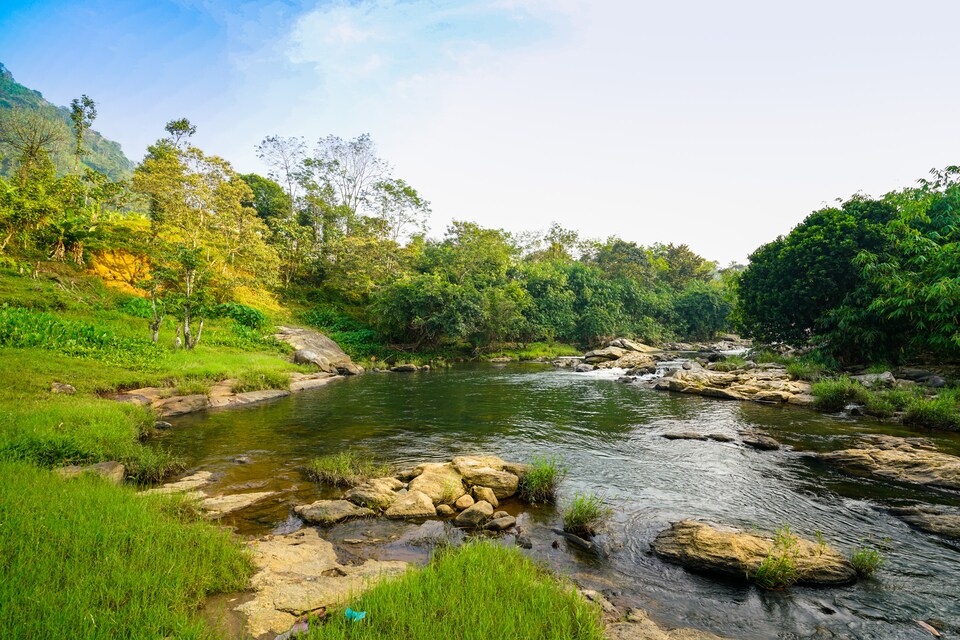 OYO 24284 Snow Lavender Resorts Mankkulam, Anachal, Munnar
