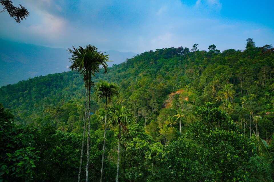 OYO Home 24315 Prakriti Annexe, Anachal, Munnar