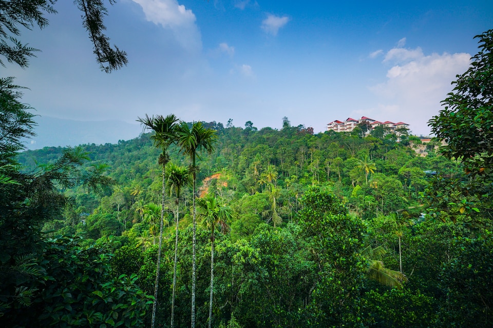 OYO Home 24315 Prakriti Annexe, Anachal, Munnar