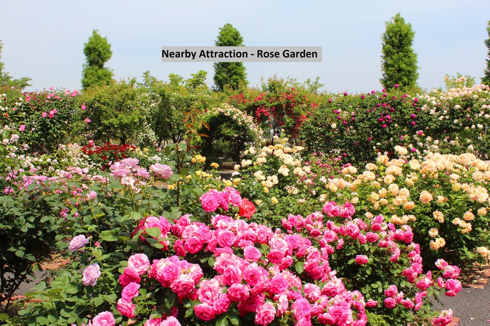 OYO Home Luxe 24790 Scenic View Stay, Charing Cross Ooty, Ooty