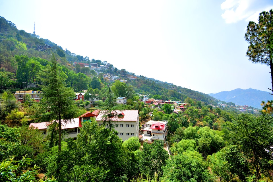 OYO Home 26786 Enticing Studio Stay Garkhal, Dharampur Kasauli, Kasauli