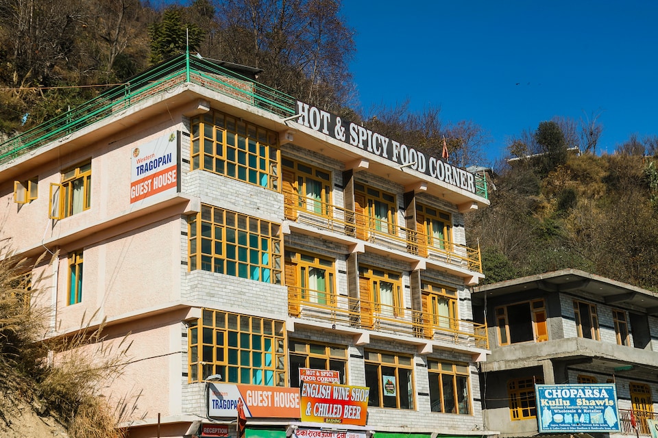 OYO 26821 Western Tragopan, Kullu, Kullu