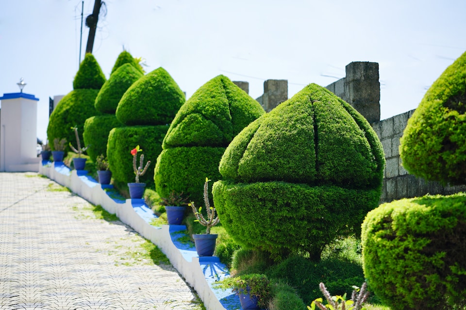 OYO Home 26846 Elegant 2BHK, Chinakkanal Munnar, Munnar
